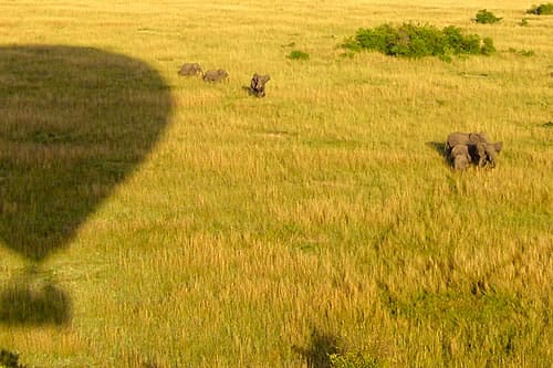 balloonsafaris
