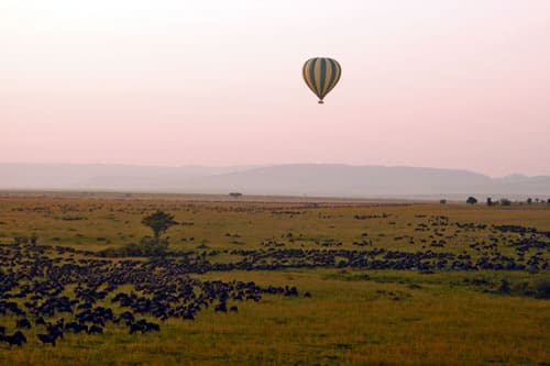 balloonsafaris03